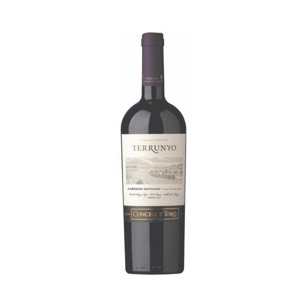 VINO TERRUNYO SAUVIGNON x 750 cc