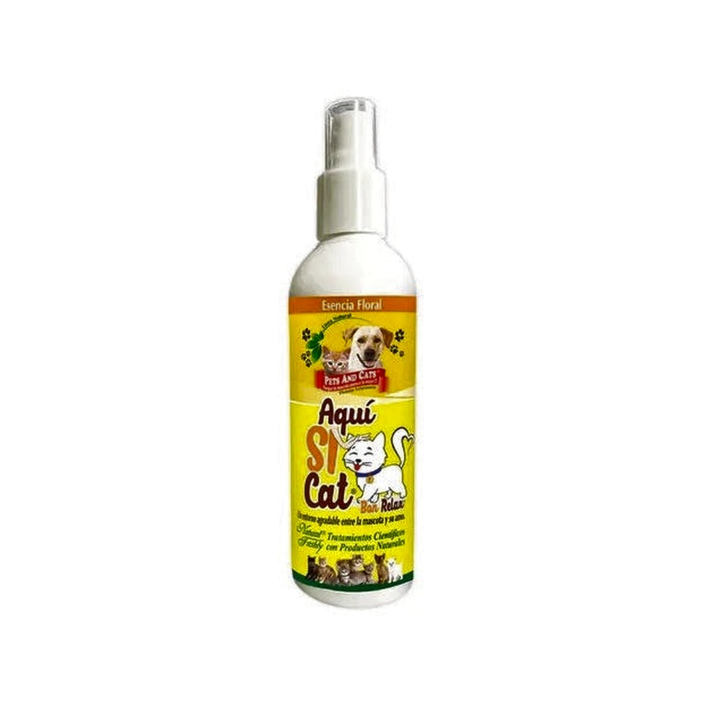 P &amp; C AQUÍ SI CAT FSC x 240 ML