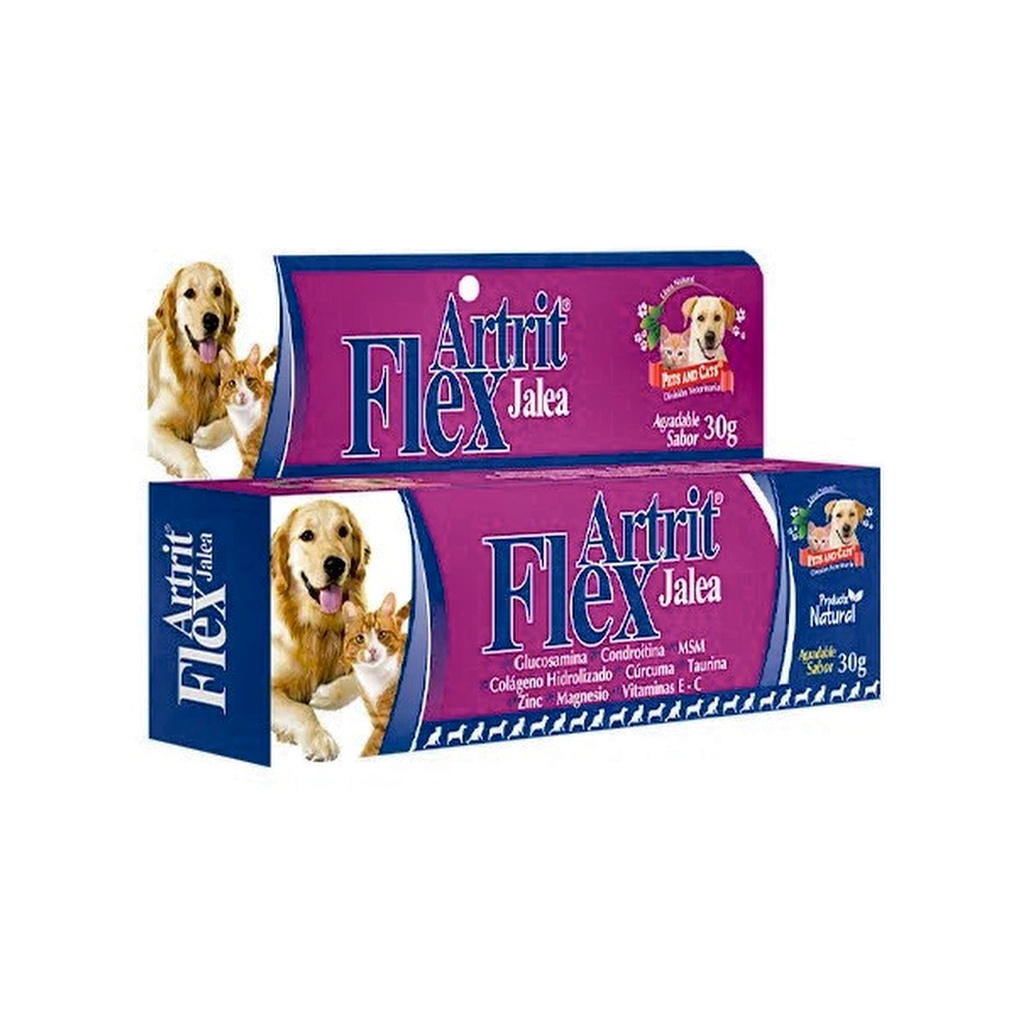 P &amp; C FLEX ARTRIT JALEA TUBO x 30gr UNIDAD