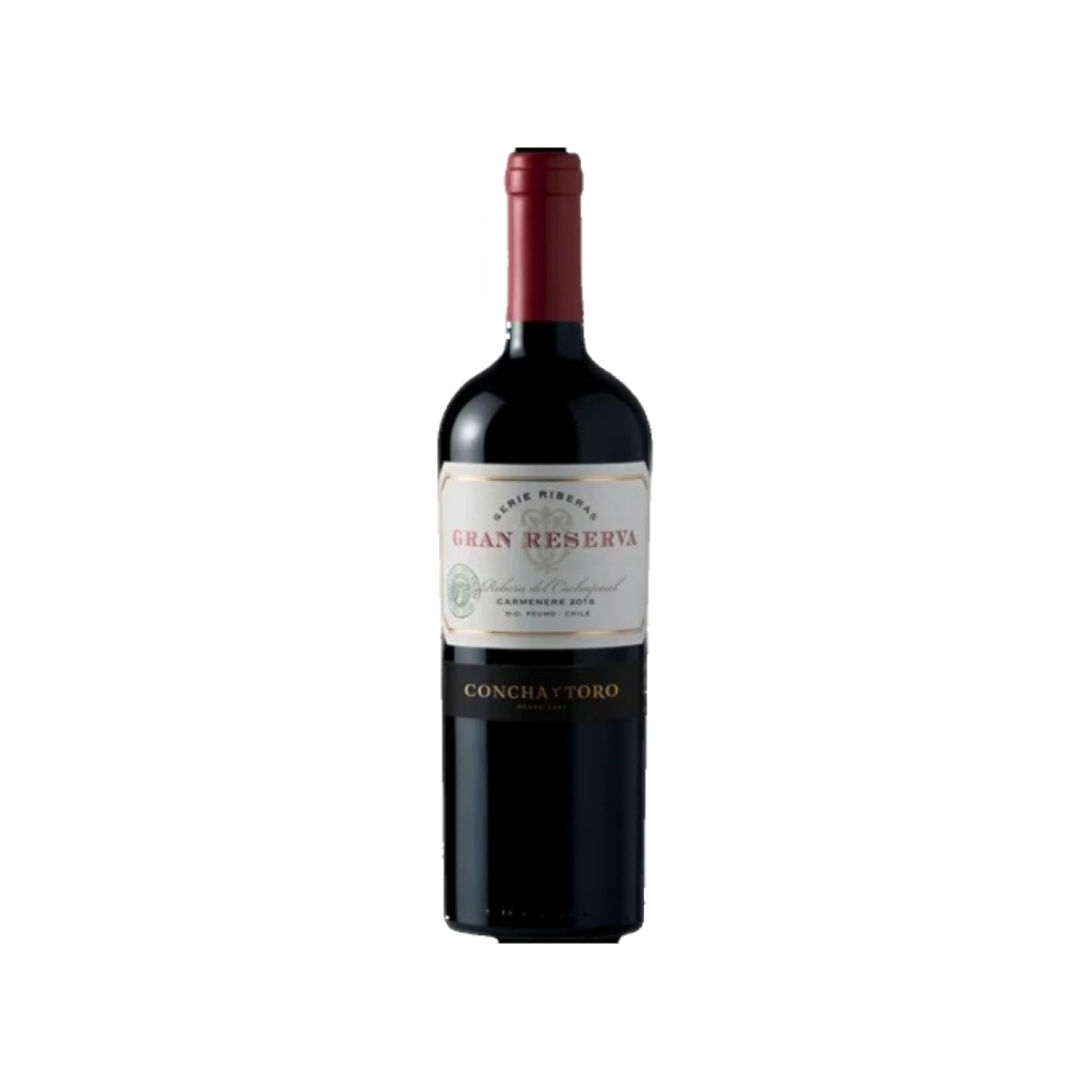 VINO GRAN RESERVA SERIE RIBERAS CARMENERE x 750 cc