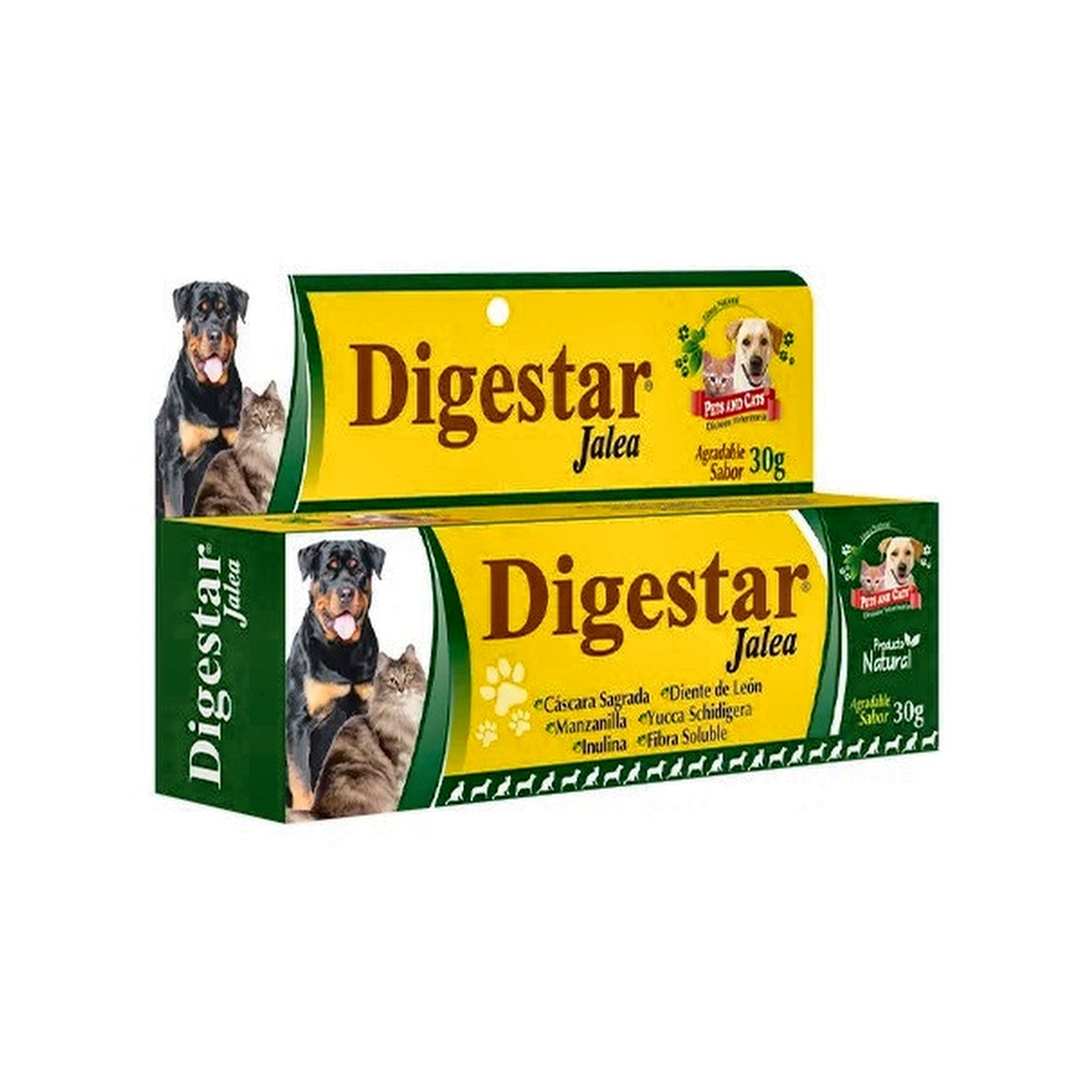 P &amp; C DIGESTAR JALEA TUBO X 30gr UNIDAD