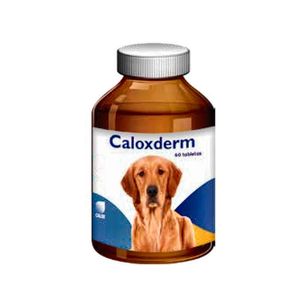 CALOXDERM CALOX  FRASCO x 60 TABLETAS