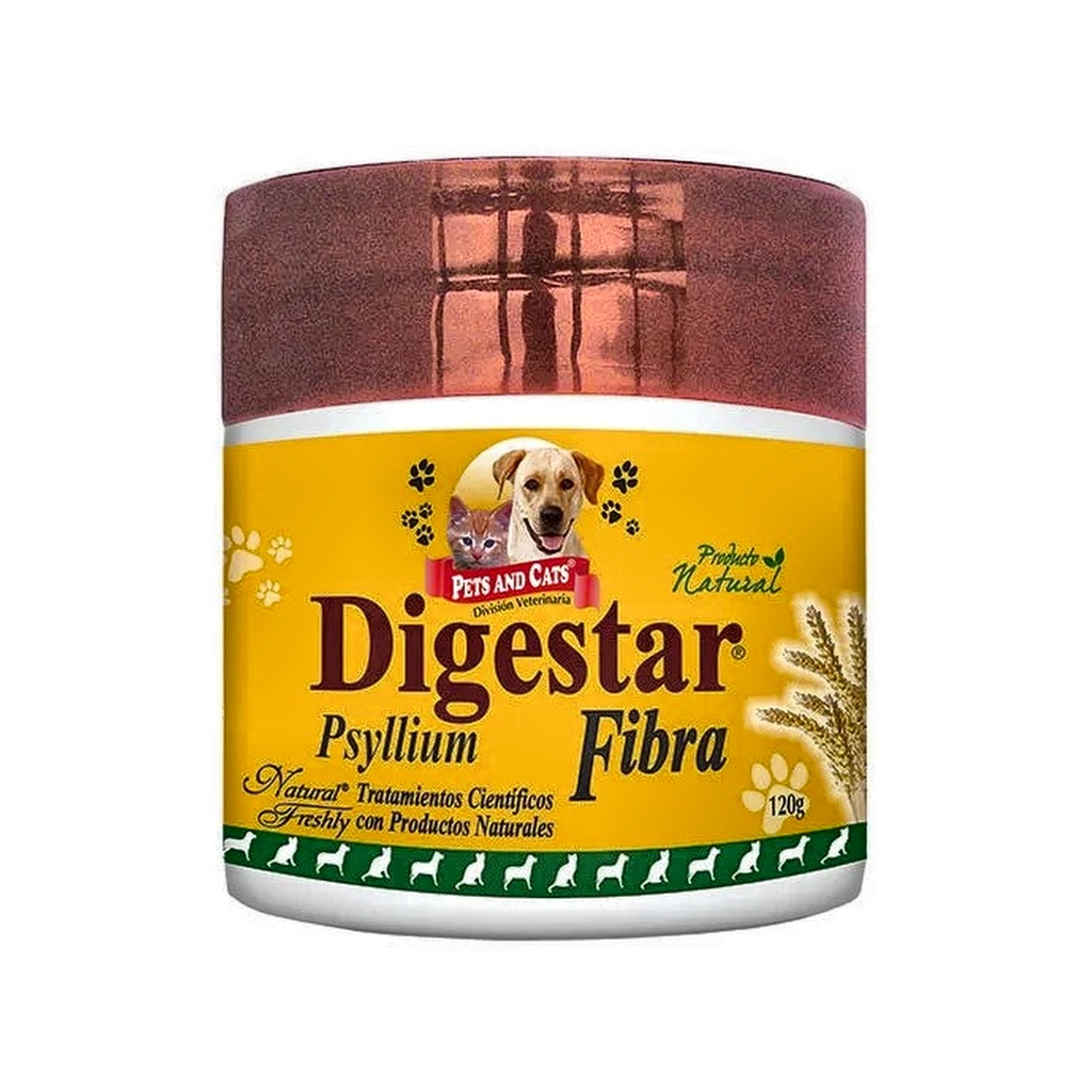 P &amp; C DIGESTAR PSYLLIUM FIBRA X 120 G