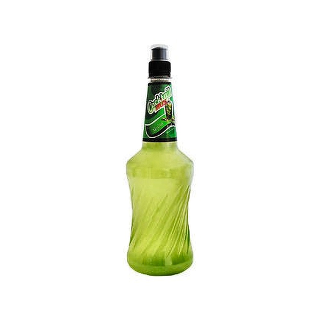 COCKTAIL MIX MOJITO x 1000 cc