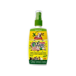 [2550112] P &amp; C FRESHLY CATNIP FSC x 120 ML