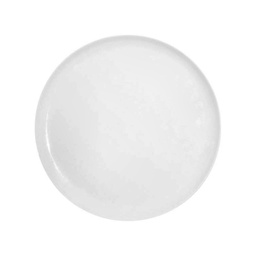 [3010318] PLATO PANDO COUPE 17.2CM ACTUALITE BLANCO PA1101711724